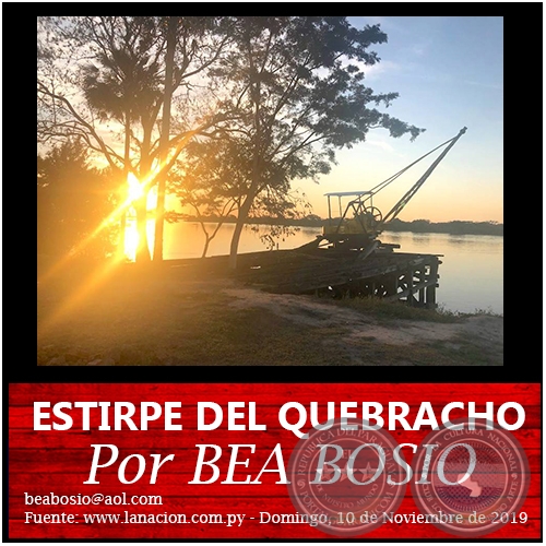ESTIRPE DEL QUEBRACHO - Por BEA BOSIO - Domingo, 10 de Noviembre de 2019
